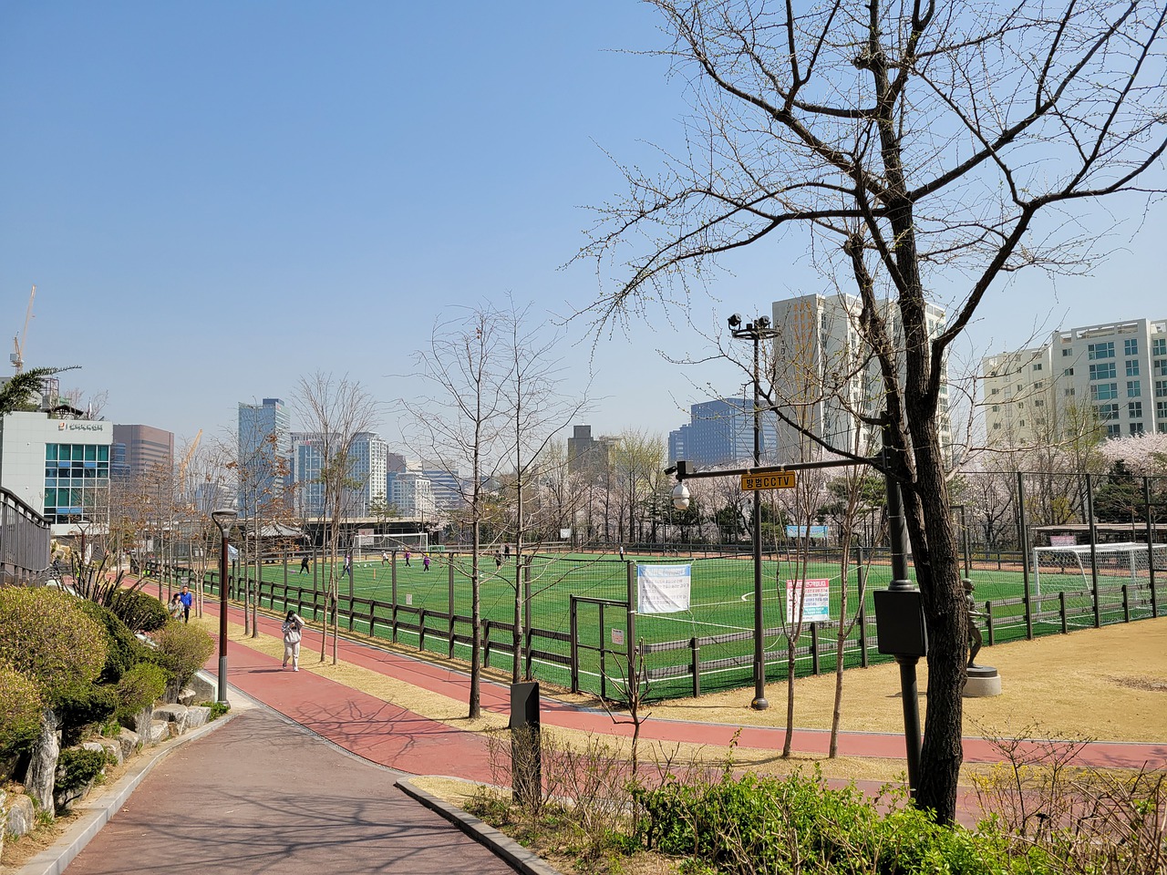 将成为她们